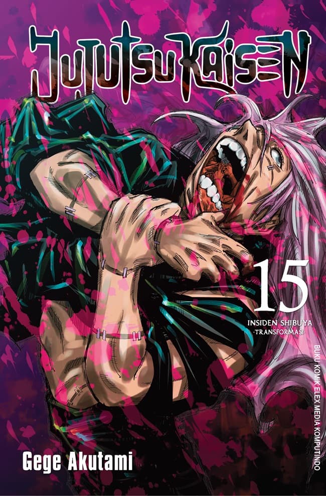 Jujutsu Kaisen 15