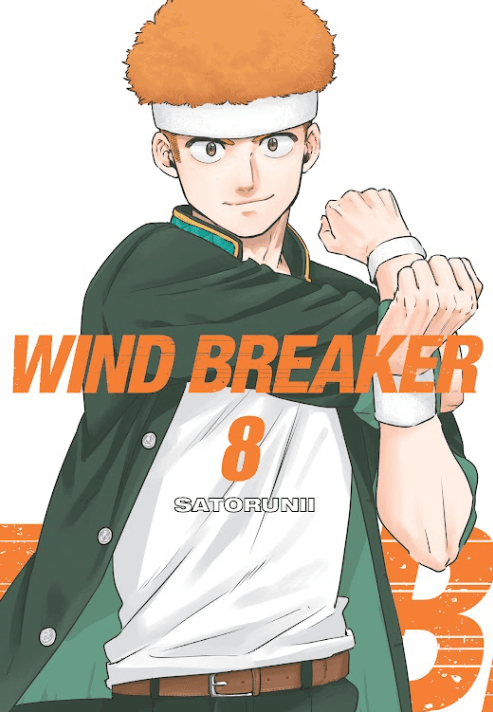 Wind Breaker Vol. 8