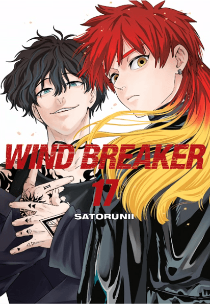Wind Breaker Vol. 17