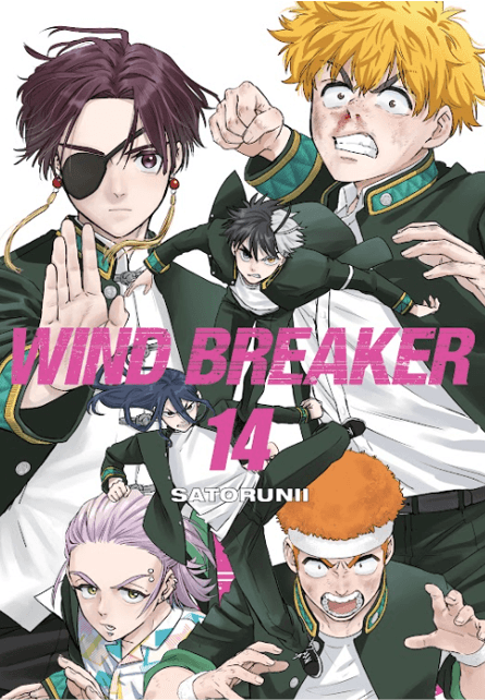 Wind Breaker Vol. 14