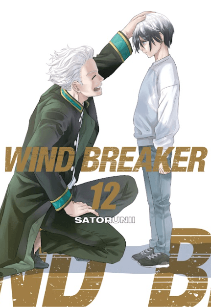 Wind Breaker Vol. 12