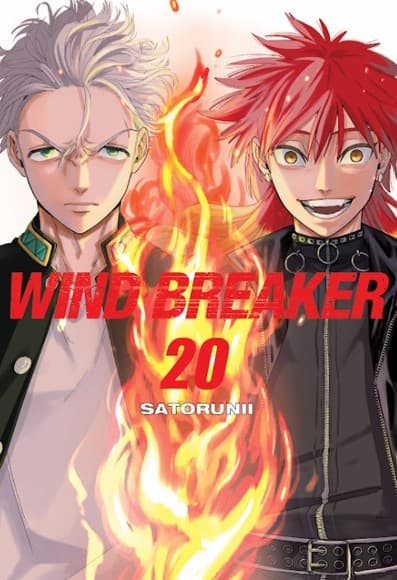 Wind Breaker Vol. 20