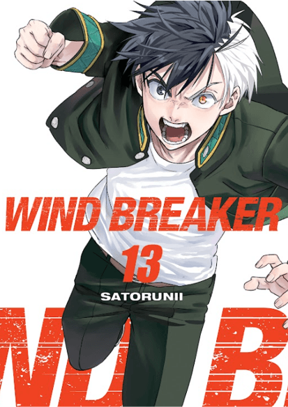 Wind Breaker Vol. 13