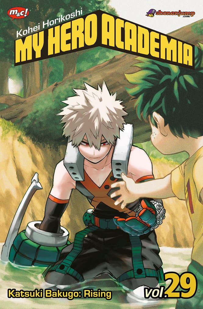 My Hero Academia 29